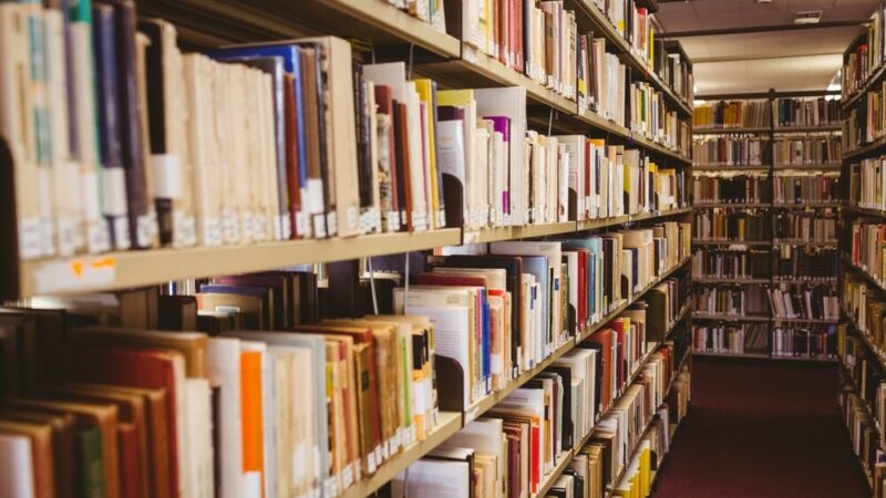 Goście Festiwalu Literackiego „Morze Literatury” – kto przyjedzie?